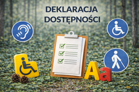 Deklaracja dostępności