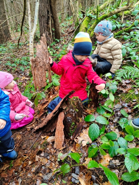 Czego i jak się uczymy