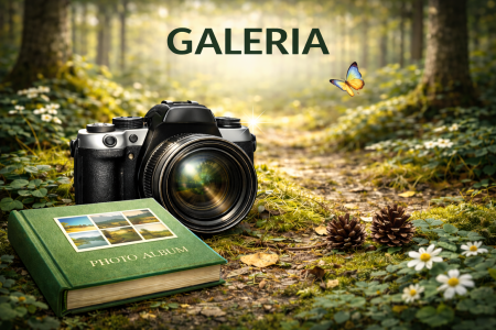 Galeria